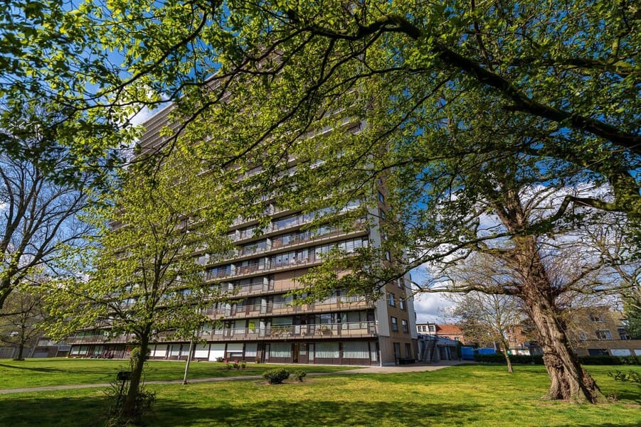 Przeprowadzka do Antwerpii, ceny w mieście